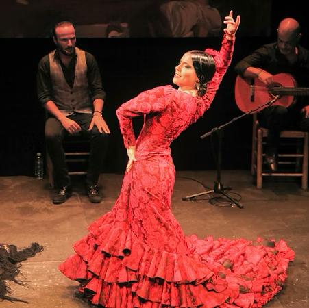 Treat us to a traditional Flamenco show!