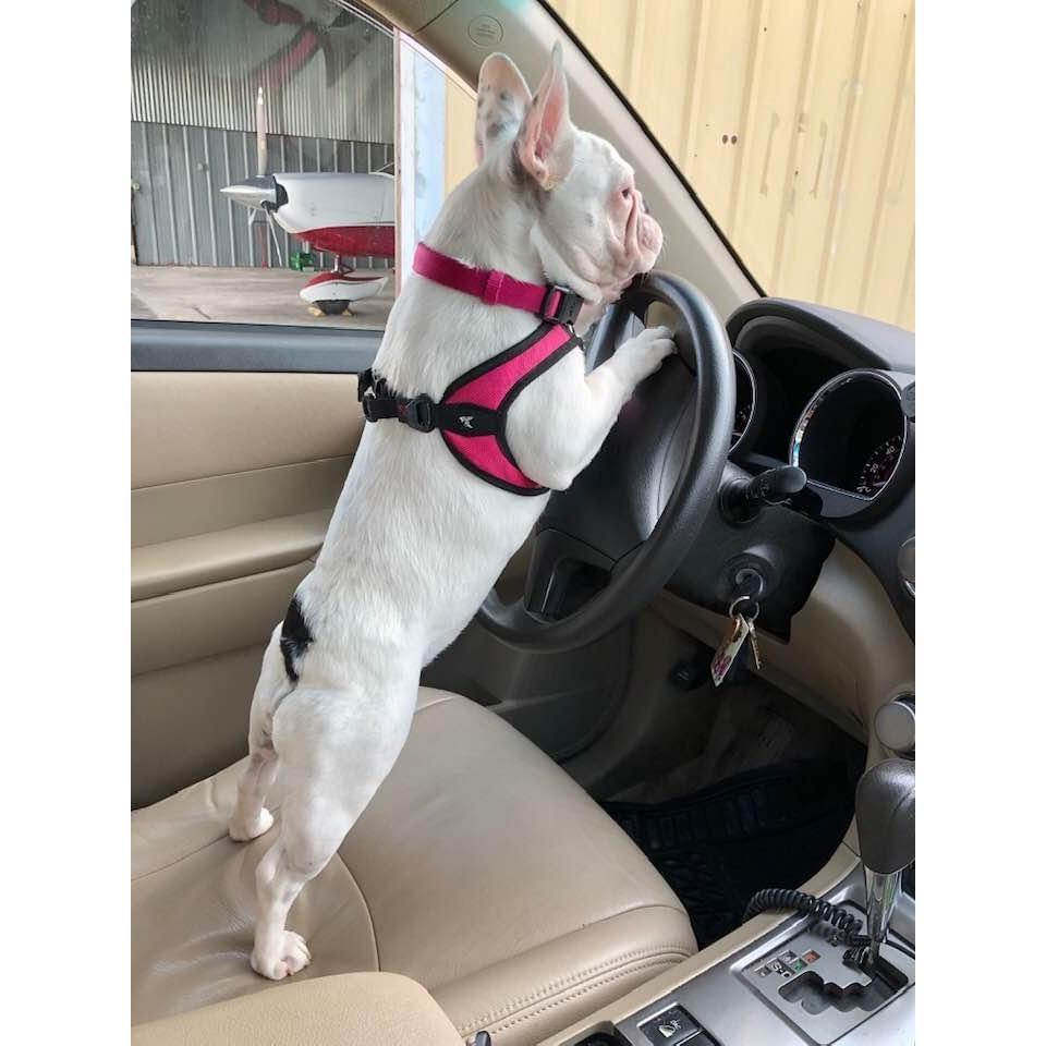 When Betty started driving May 2019.
