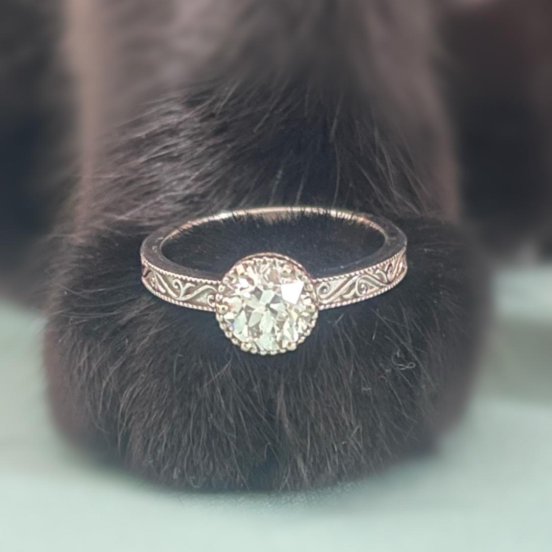 King (our kitty) modeling his Mommy’s ring