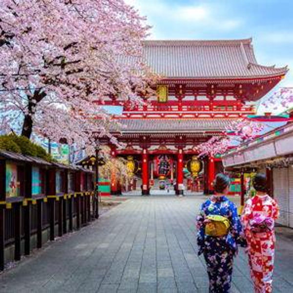 Honeymoon 2027: 2 Weeks in Japan