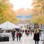 Downtown Ventura