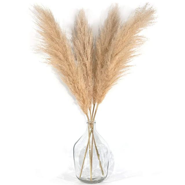 4 Stems Pampas Grass Tall Extra Fluffy 48" (4ft) - Home Decor Dried Natural Large Plant (Beige) for Flower Arrangements Weddings and Home Decor – Modern and Luxury Design Decorations