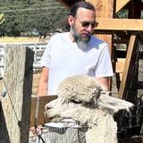 Cedar Creek Alpaca Farm