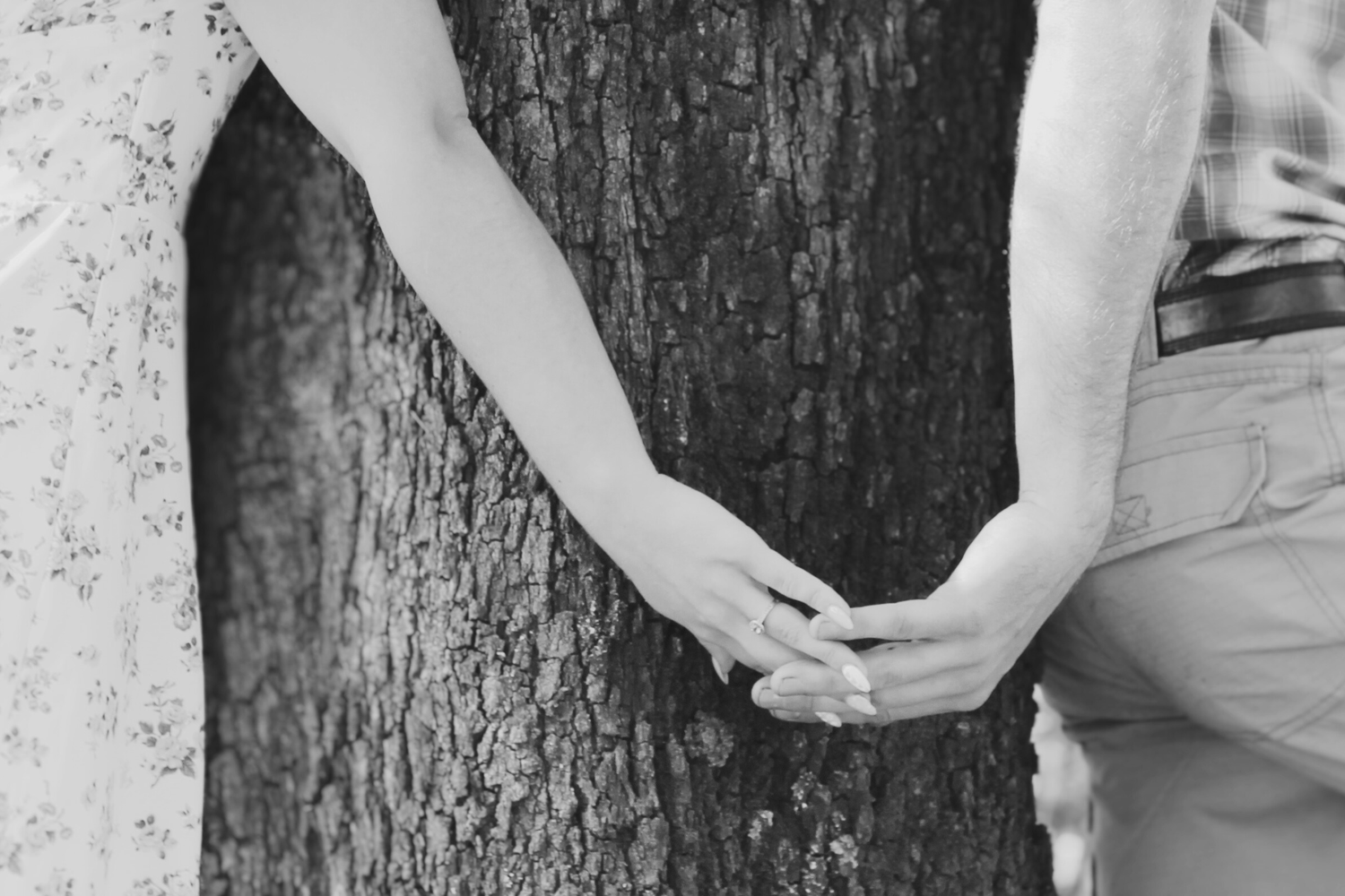 The Wedding Website of Alicia Whaling and Alfred Johnstone