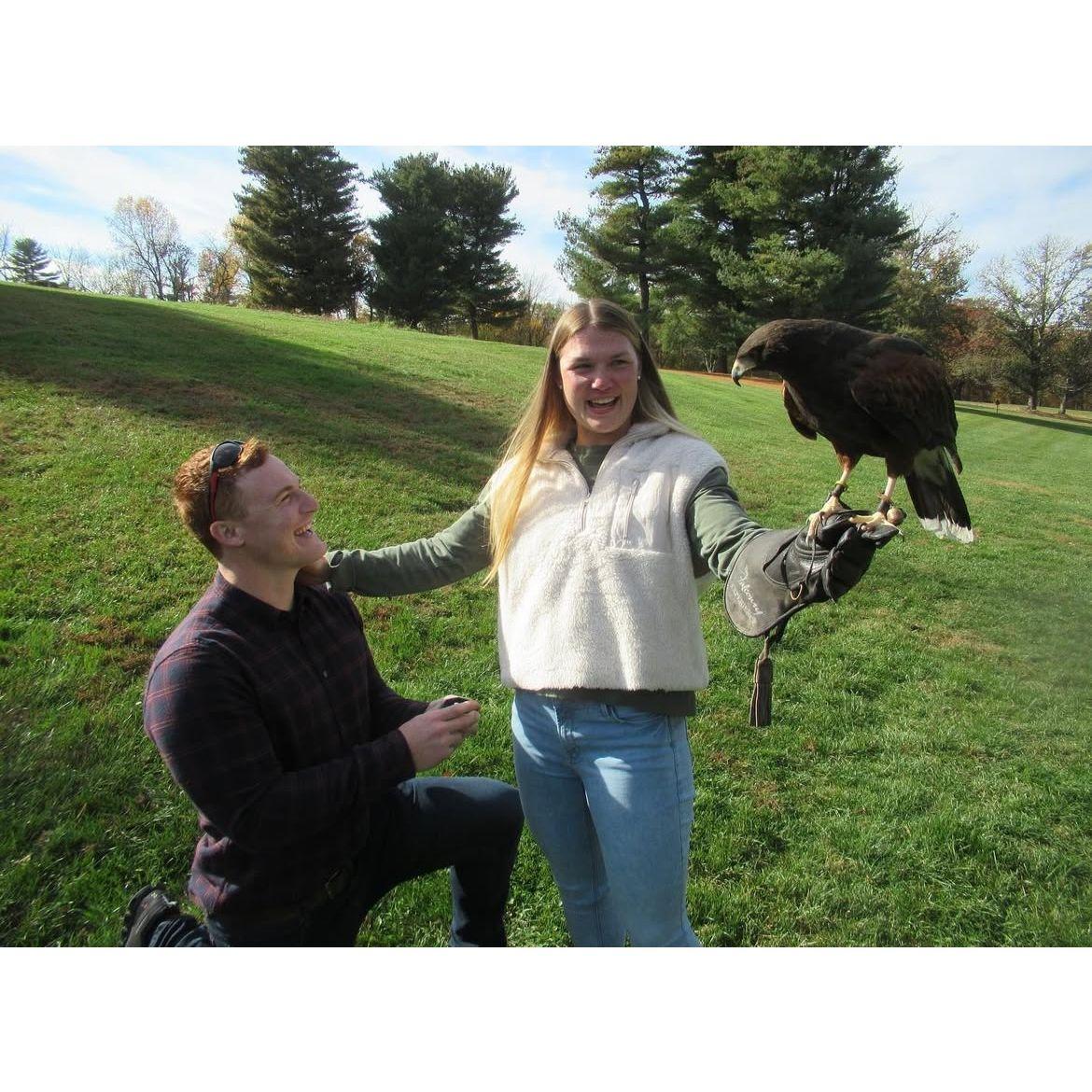 2022 How Sean Proposed!