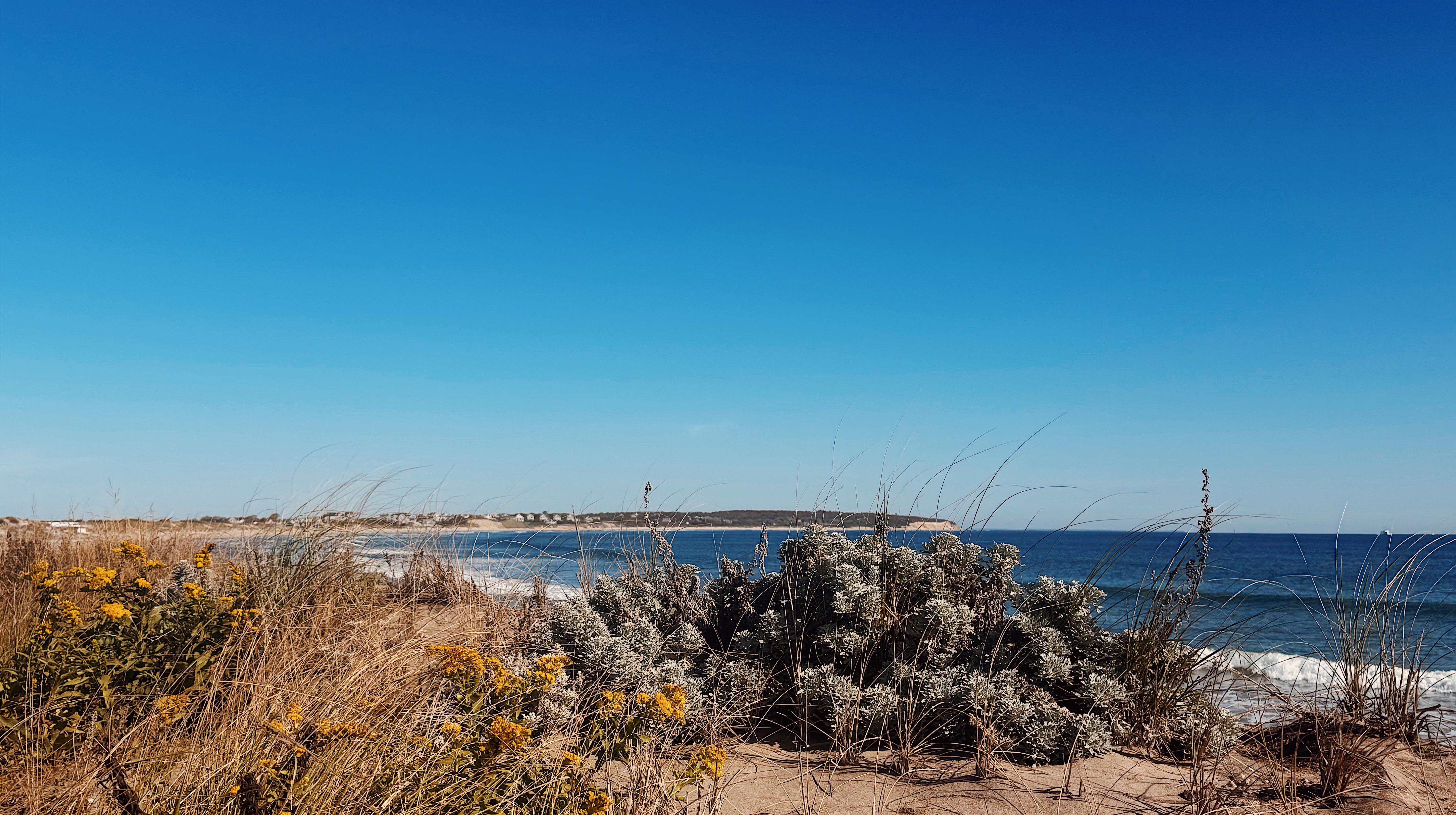 The Wedding Website of Victoria Ferrigno and Noah Gasner