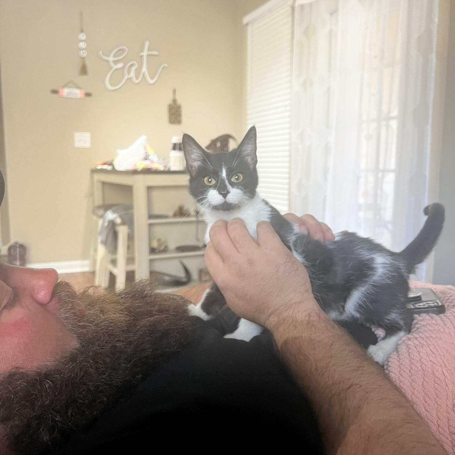 Our first furrbaby we got together. Stetson.