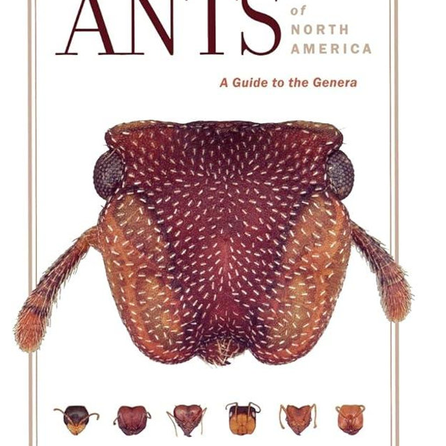 Ants of North America: A Guide to the Genera
