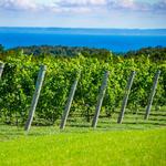 Leelanau Peninsula Wine Trail