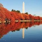 Washington D.C.