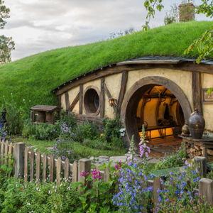 Visit the Shire (bc Andy is a LOTR nerd)