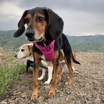 South Table Mountain