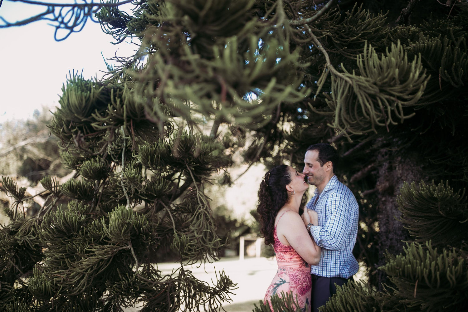 The Wedding Website of Mónica David and Daniel Jaschkowitz