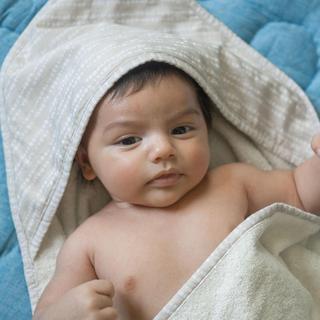 Cove Dot Baby Hooded Towel