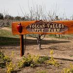 Volcan Valley Apple Farm