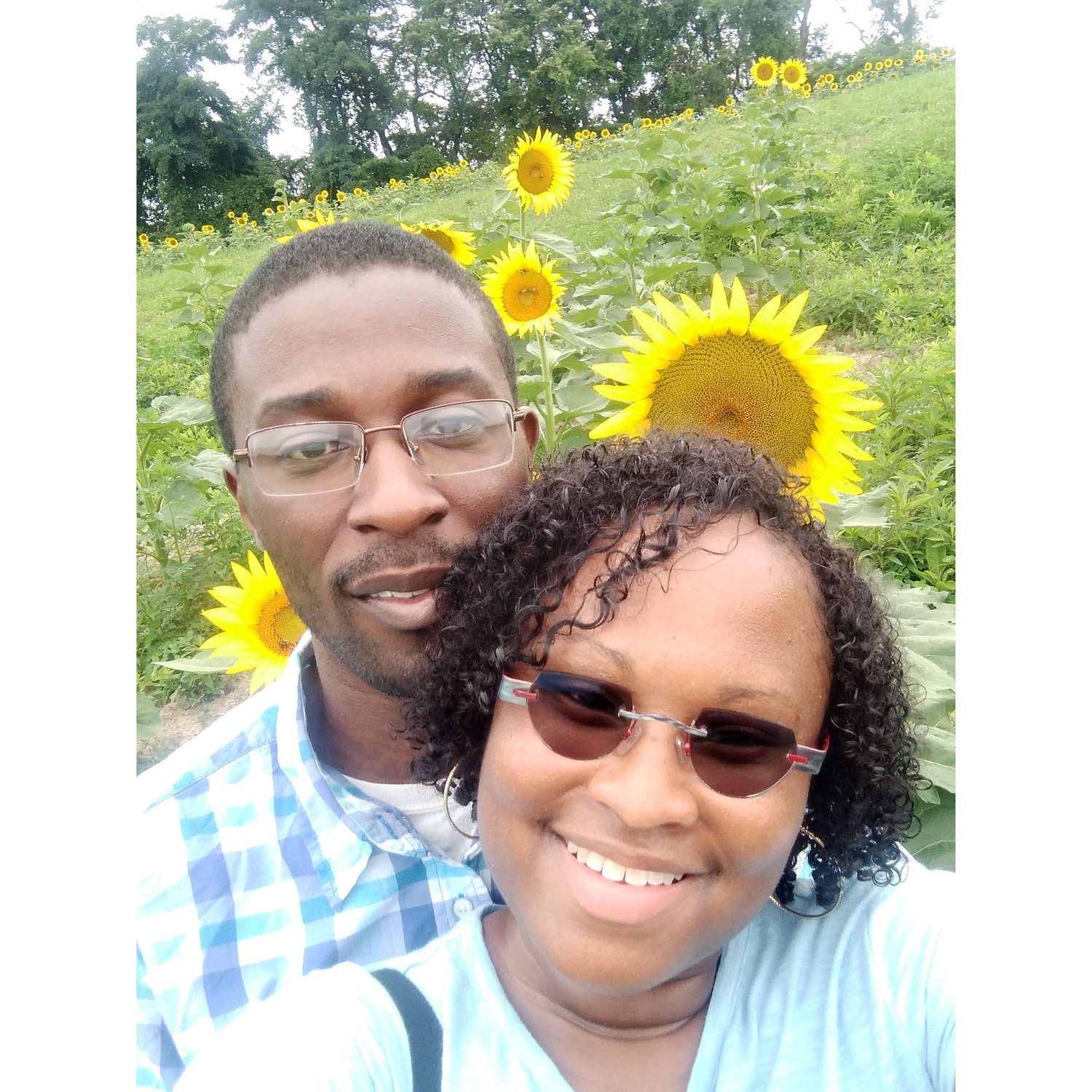 Attending the Sunflower Festival has become an annual thing for us.