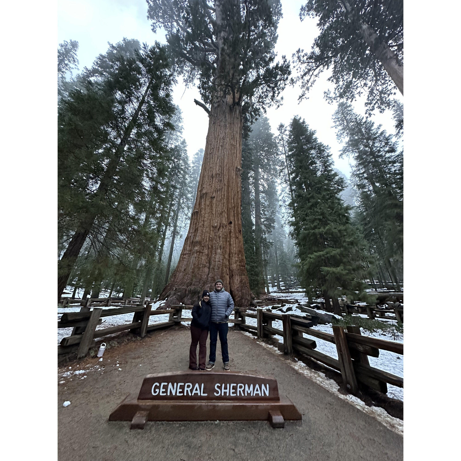 Sequoia 2024