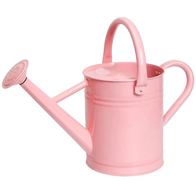 Joequality Watering Can for Outdoor&Indoor Plants，1 Gallon Metal Plant Watering Can with Detachable Diffuser Spout，Galvanized Steel Gardening Watering Can，Beautiful Gardening Gifts for Women，Pink