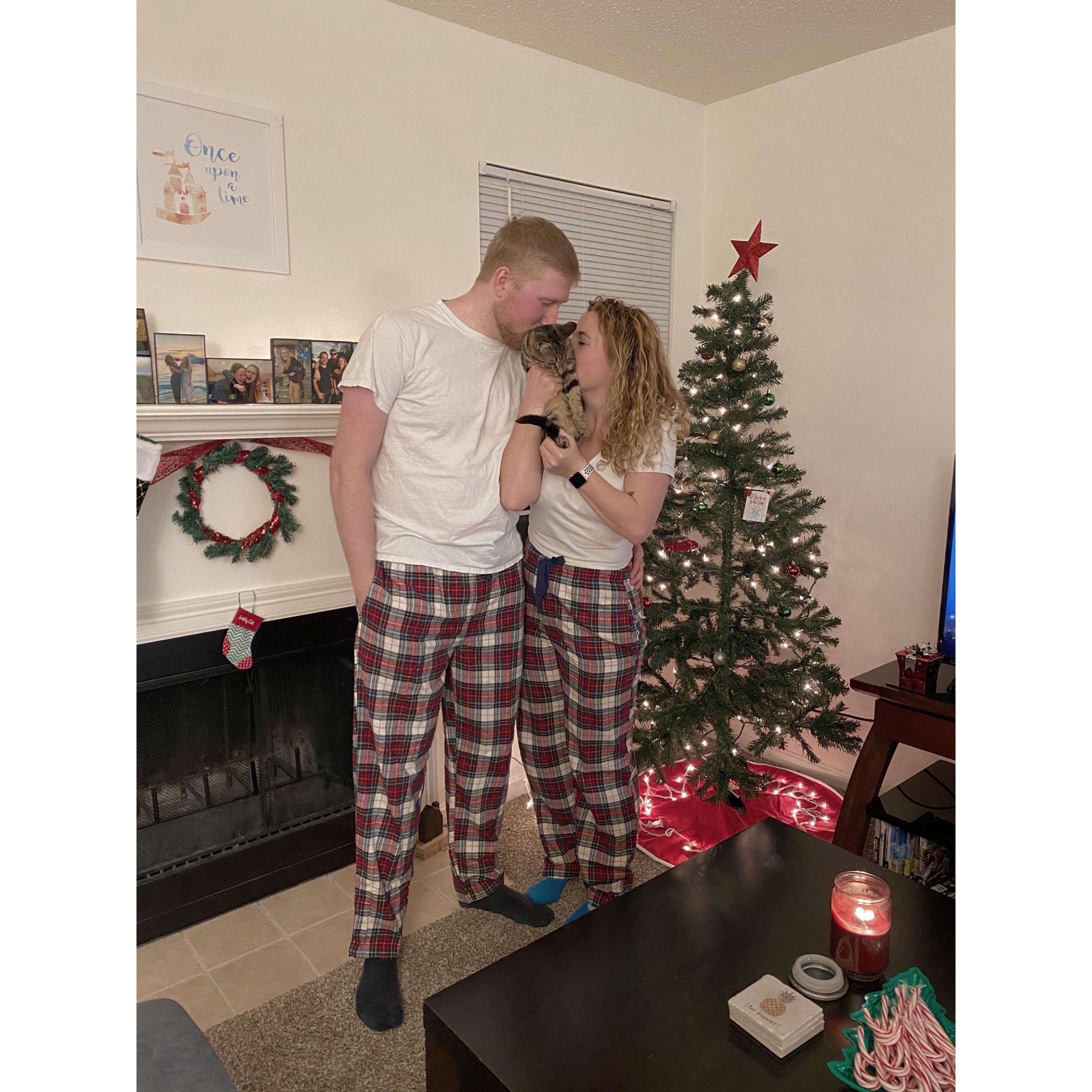 The first Christmas with Harley and in our first apartment!
