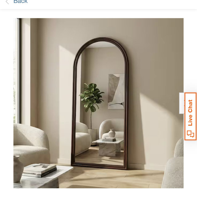 Brown 31.5 X 71 inch Wood Framed Floor Mirror