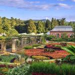 North Carolina Botanical Garden