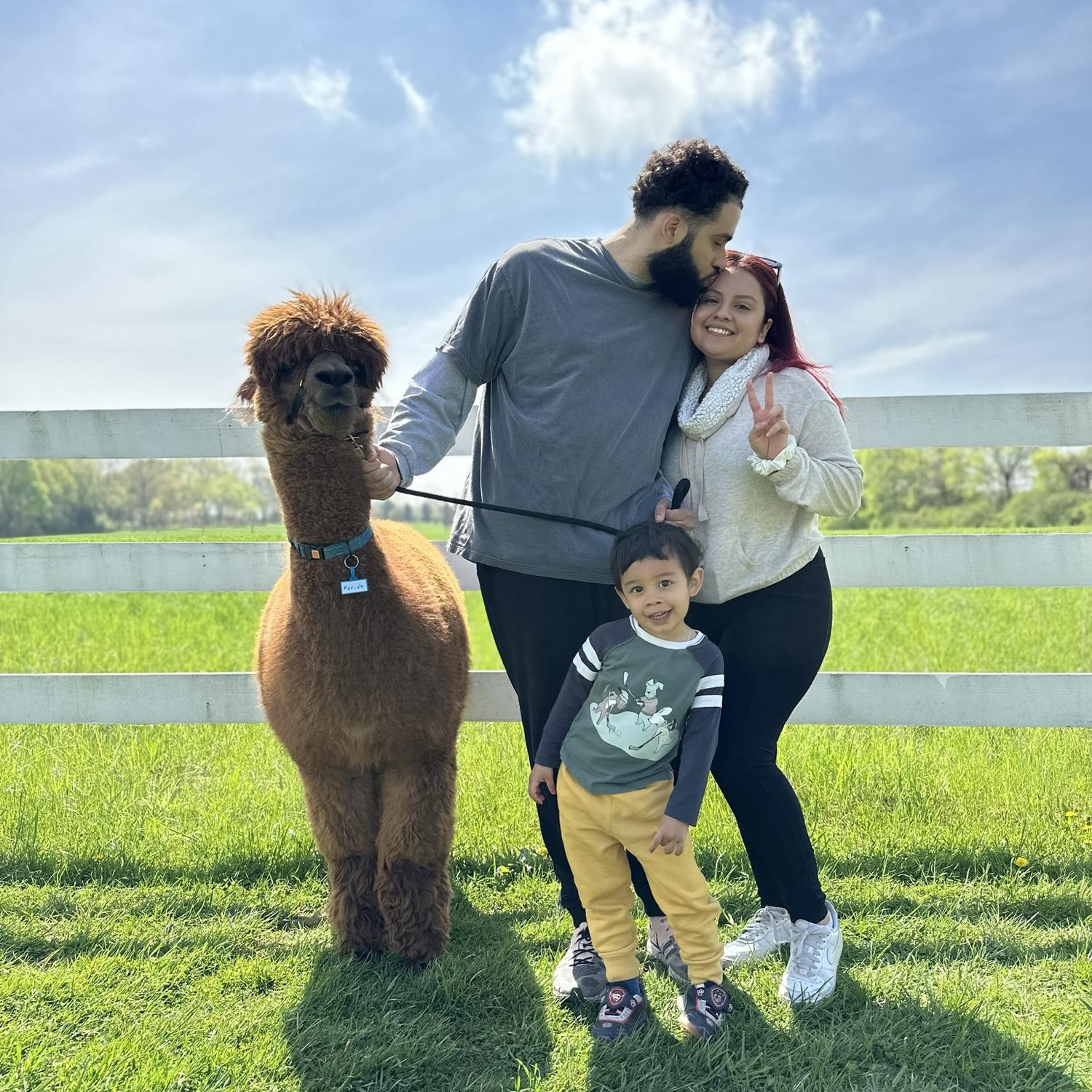 Fun fact: Fernando’s favorite animal are alpacas 🦙