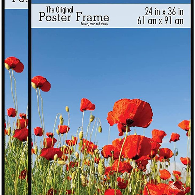 MCS, Black, Original Poster Frame, 24 x 36 Inch, Set of 2