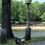 Lincoln Parish Park