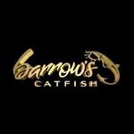 Barrow’s Catfish - Earhart