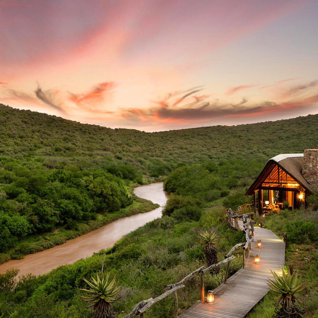 5 Night Safari Hotel on Honeymoon