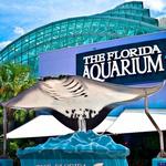 The Florida Aquarium