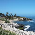 La Jolla Cove