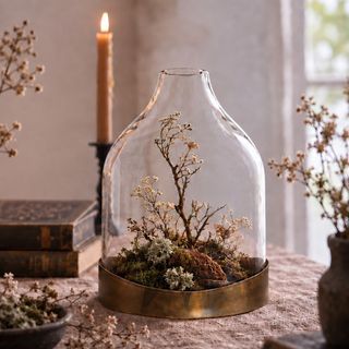 Glass Cloche with Metal Tray