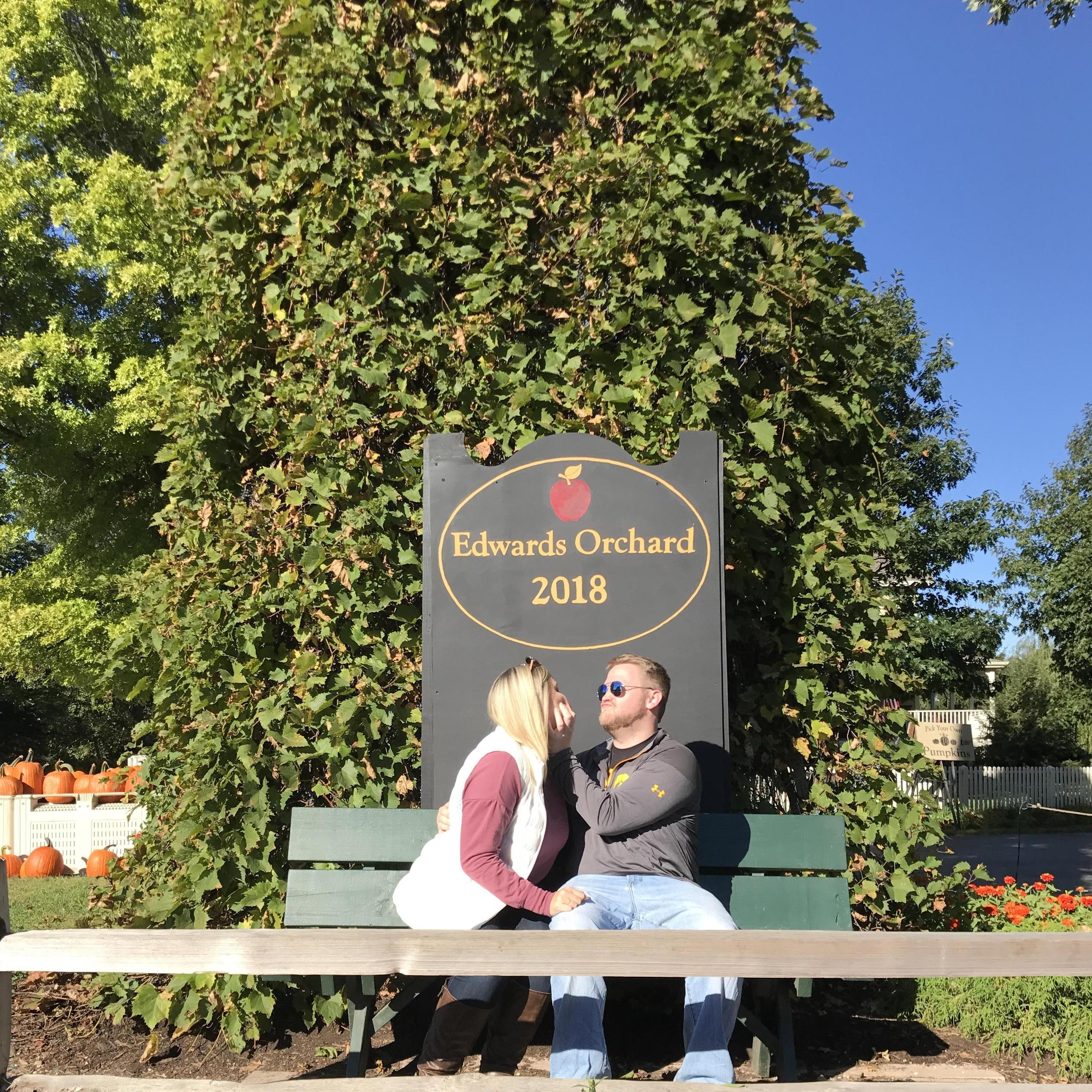 Apple Picking
