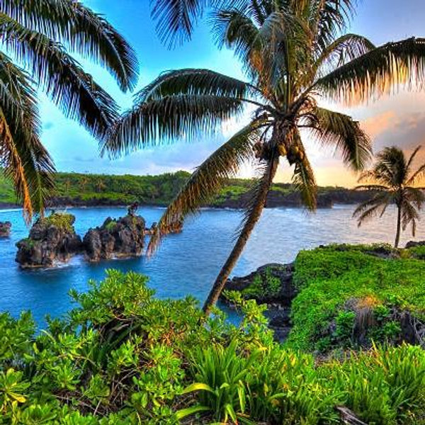 Hawaii Honeymoon Fund