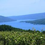 Keuka Lake Wine Trail