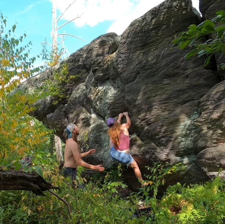 Michaux State Forest