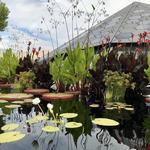 Denver Botanic Gardens at York Street