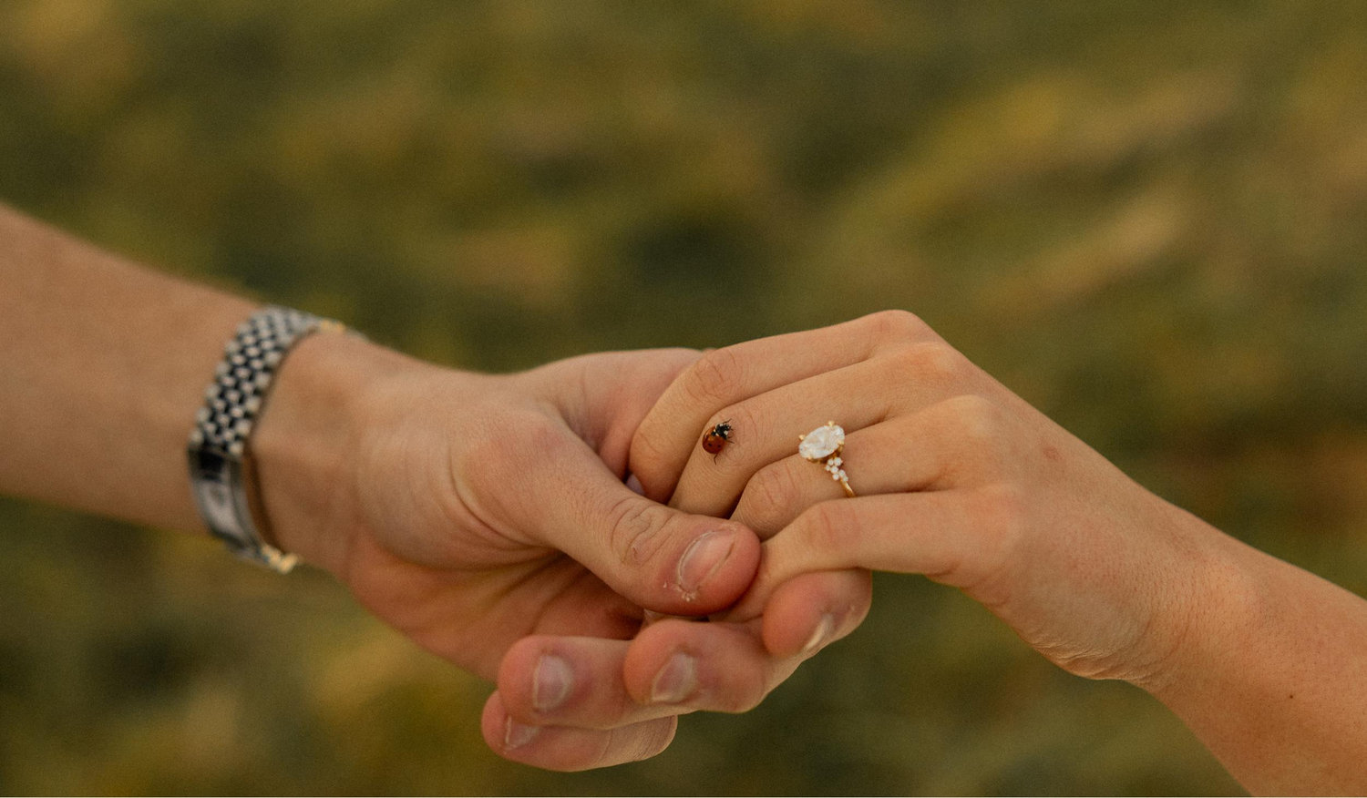 The Wedding Website of Peter Gayduchik and Angelica Slivinskiy