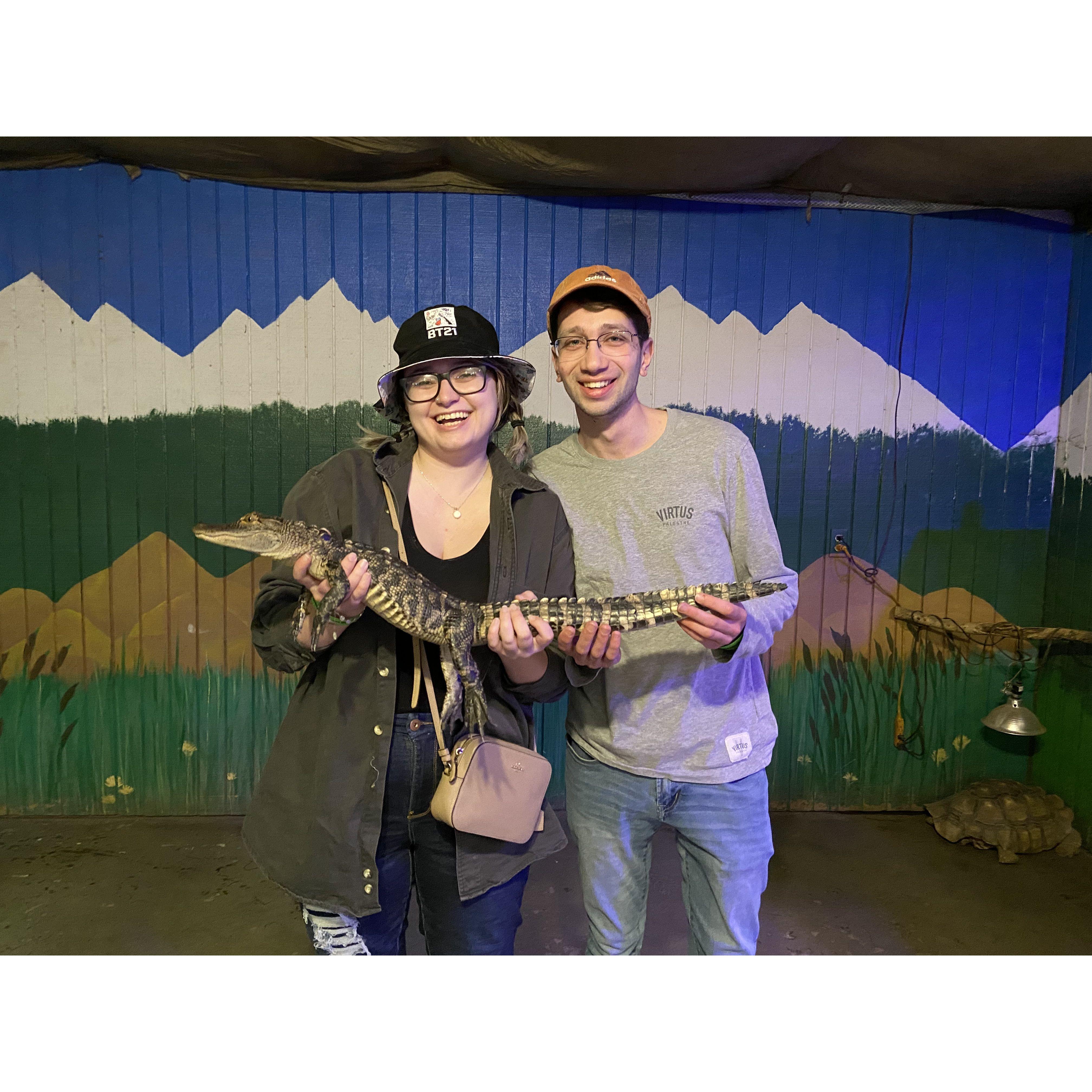 Turns out Colorado has gators too