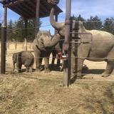Columbus Zoo and Aquarium