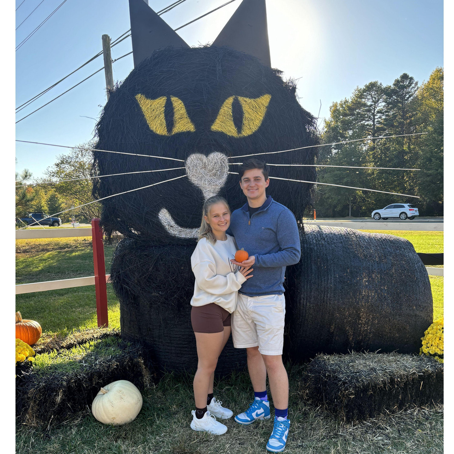 Finding pumpkins to paint