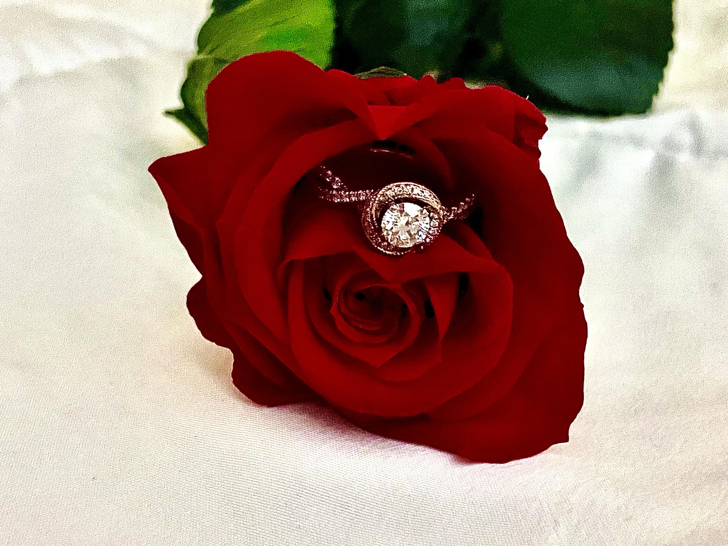 The Wedding Website of Taryn Wills and Reeve Collins