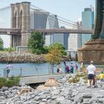 Brooklyn Bridge Park