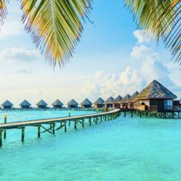 Our Honeymoon Fund