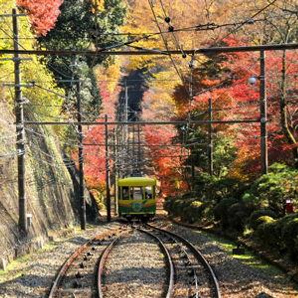 Hakone Autumn Hike