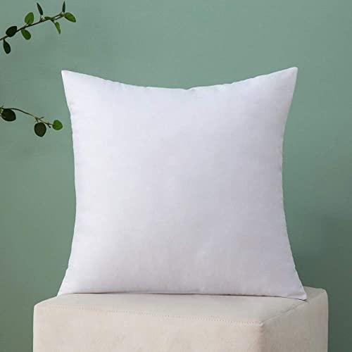 MIULEE Throw Pillow Insert Hypoallergenic Premium Pillow Stuffer Sham Square Form for Decorative Cushion Bed Couch Sofa 18x18 Inch