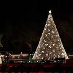 Get in the Christmas Spirit