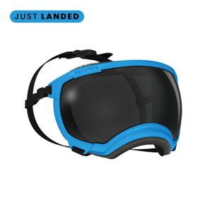 Dog Goggles Eye Protection - Size Medium, Hurricane Blue