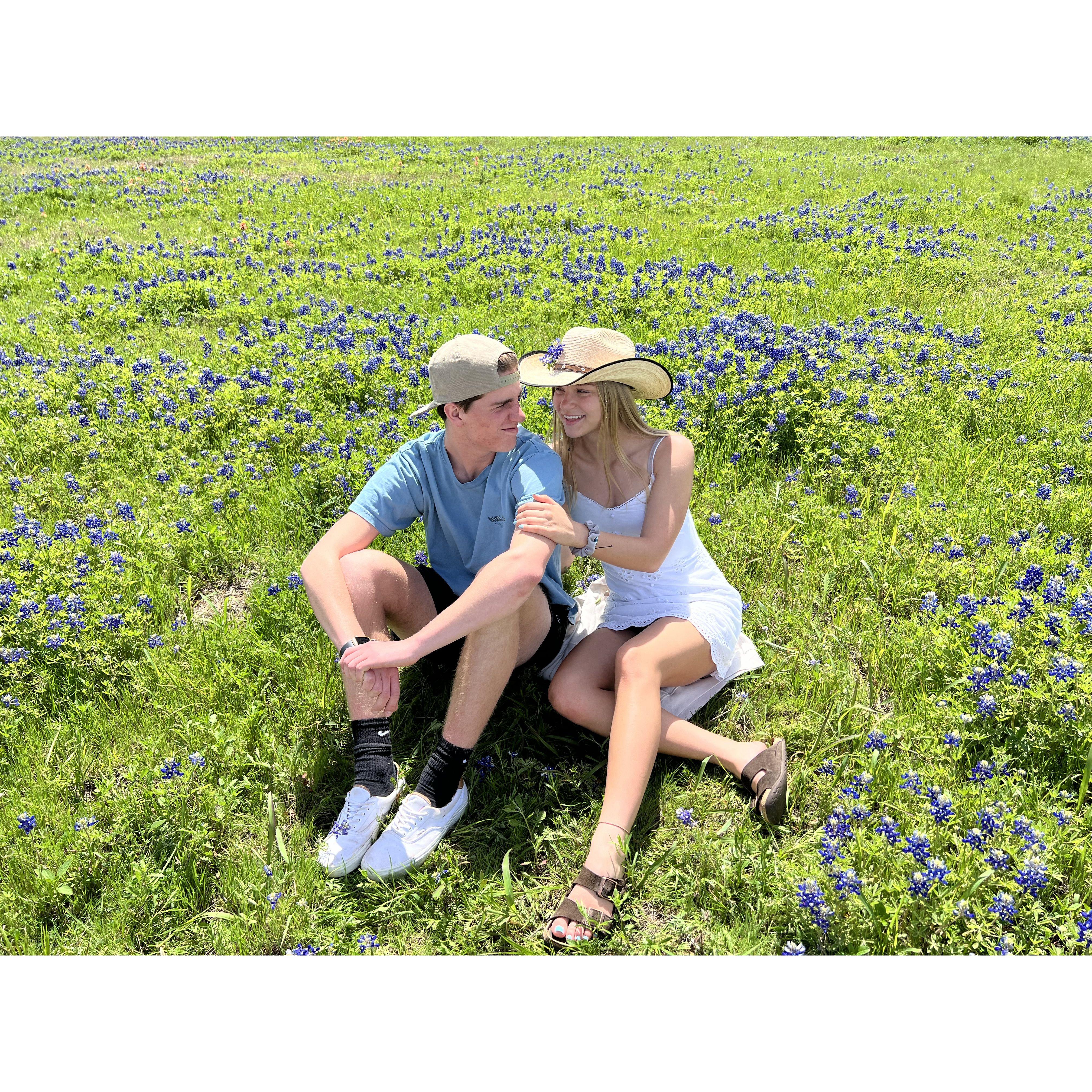 Saw the Blue Bonnets bloom in Texas